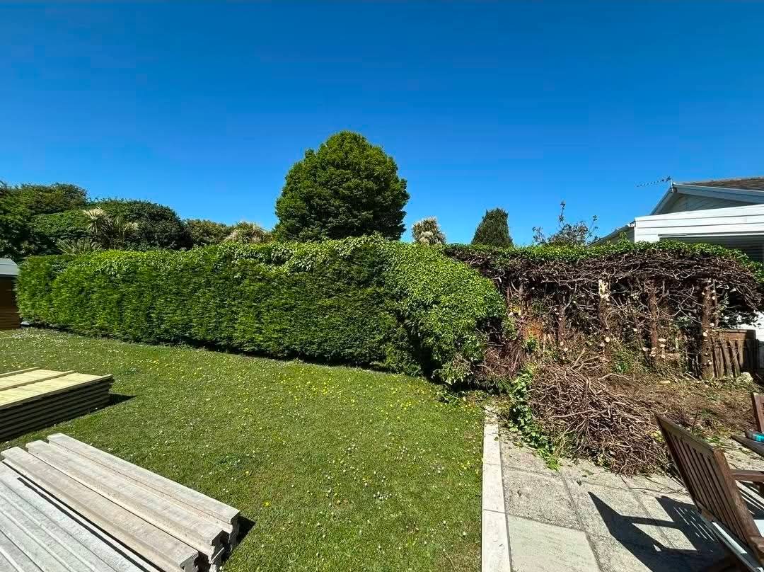 Hedge cleared & new fence — before
